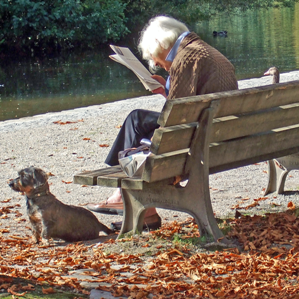 Vegliadetgna da pensiun