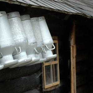 Allevament d'animals en general