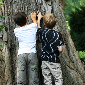 Pedagogia e didactica