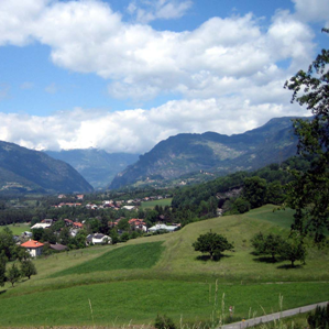 Tumleastga en general