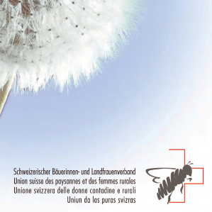 Organisaziuns ed instituziuns