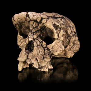 Origins da l'umanitad