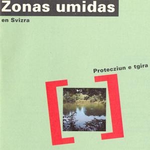 Zonas umidas