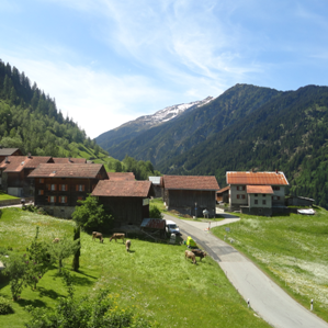 Tersnaus