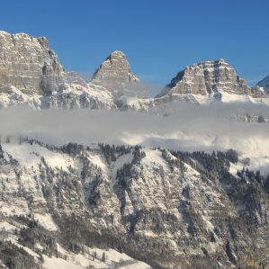 Svizra Orientala en general