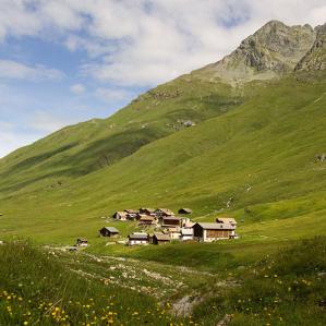 Gualsers / Grischun tudestg