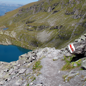 Per trutgs e pitgognas