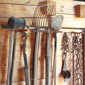 Tgea da Schons Ziràn