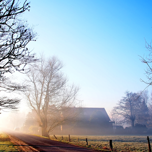 Urs Schaub Urs Schaub