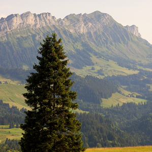Entlebuch