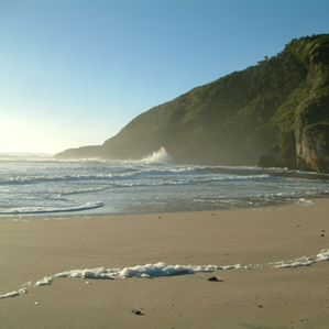 Nova Zelanda Nova Zelanda