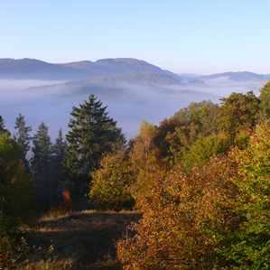 La zona temprada La zona temprada