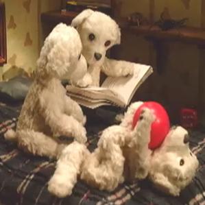 Las istorginas da la TvR