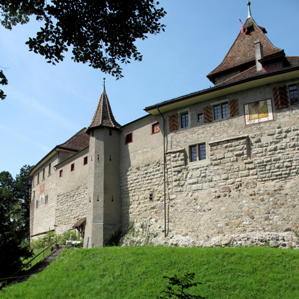 Revista «Temp medieval»