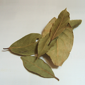 Arbaja