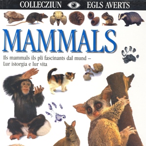 Mammals – istorgia e vita