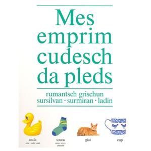 Mes emprim cudesch da pleds