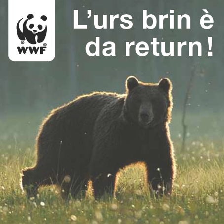 L'urs brin è da return!