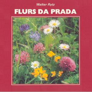 Flurs da prada Flurs da prada