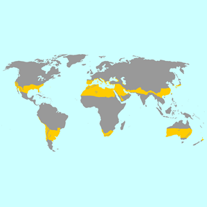 Las subtropas Las subtropas