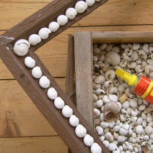 Zambregiar cun urden dal guaud Zambregiar cun urden dal guaud