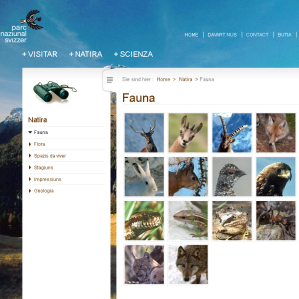 Il Parc Naziunal en la rait