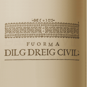 Ediziun e register online