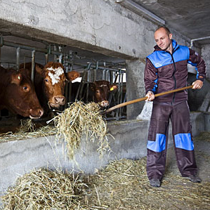 Servetsch civil