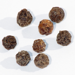 Pajar paiver cun aur