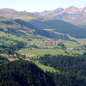 Sursaissa