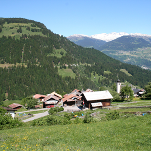 Pitasch