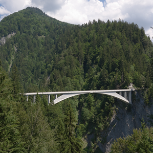 Punt da la Val Salgina