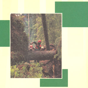 Donn da stemprads 1990