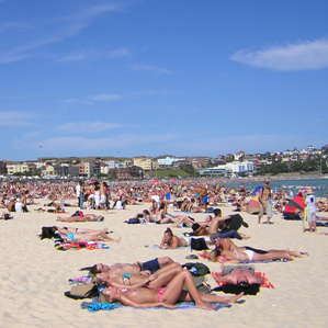 Sains nivs a la riva