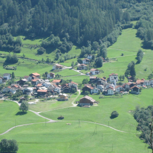 Pignia