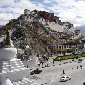 Lhasa Lhasa