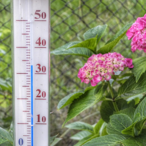 Undas da chalira... Undas da chalira...