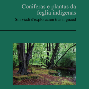 Coniferas e plantas da feglia