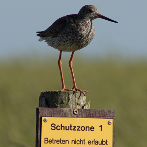 Territori natiral protegì