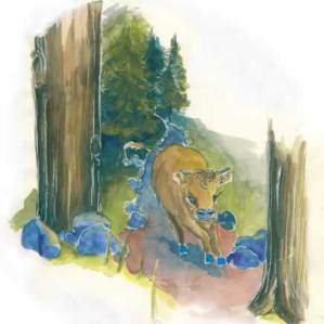 Brava mitscha dal cuntè