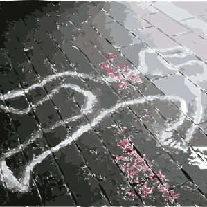 Sang, sgarschur e snavur Sang, sgarschur e snavur